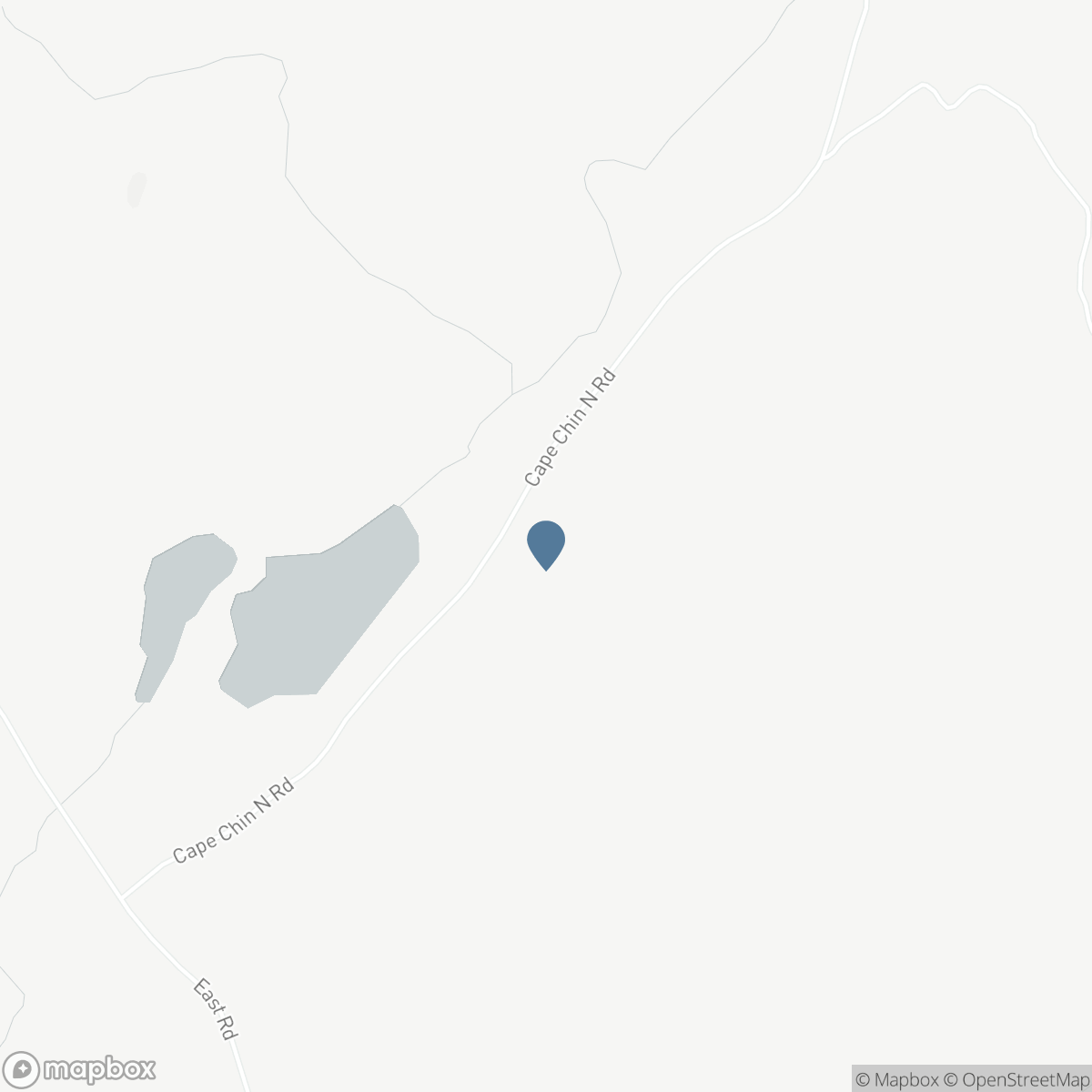 102 CAPE CHIN NORTH ROAD, Lion's Head, Ontario N0H 1W0